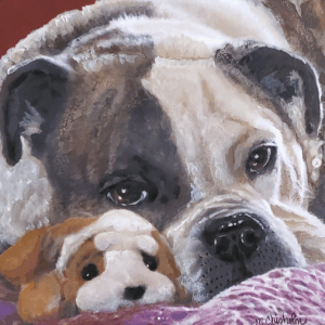 Portrait of a bull dog with her favorite stuffed animal